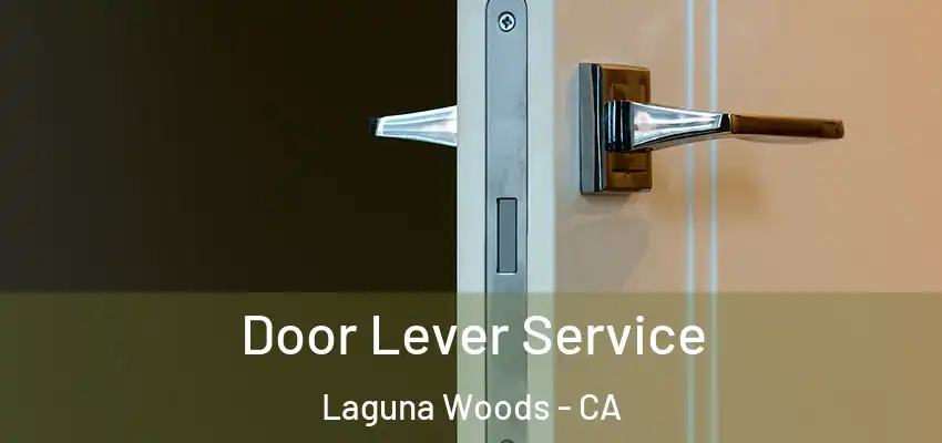  Door Lever Service Laguna Woods - CA