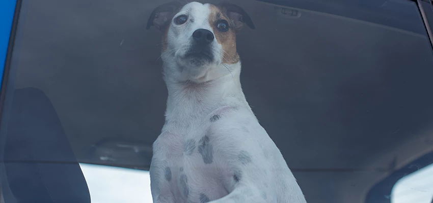 Car Lockout Solutions in Laguna Woods, California